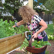Picture 029